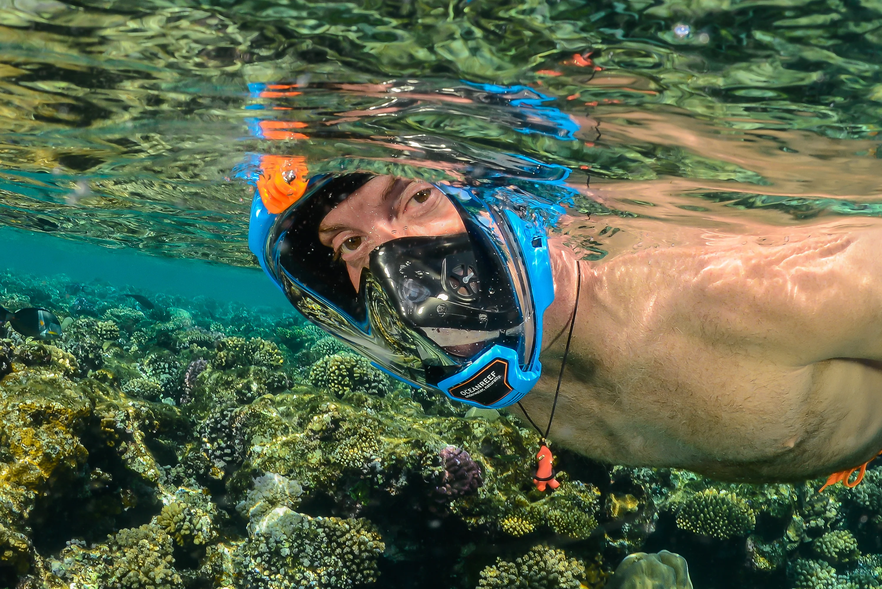 ARIA QR+ FULL FACE SNORKELING MASK - Image 14
